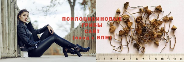 гашик Сосновка